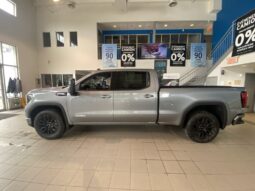 
										2025 GMC Sierra 1500 Crew Cab Standard full									