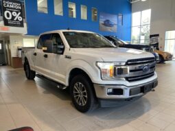 
										2019 Ford F-150 4×4 – Supercrew Xl full									