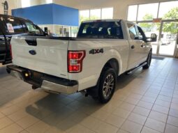 
										2019 Ford F-150 4×4 – Supercrew Xl full									