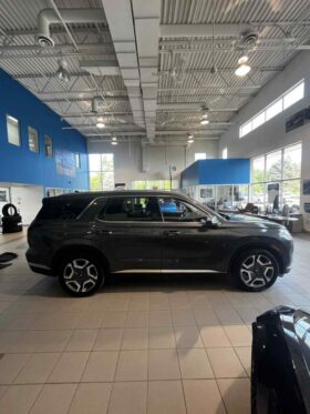 2024 Hyundai Palisade Preferred 8