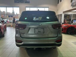 
										2019 Kia Sorento Ex Premium full									