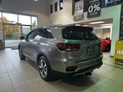 
										2019 Kia Sorento Ex Premium full									