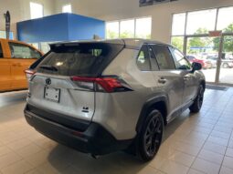 
										2023 Toyota RAV4 Le Awd full									