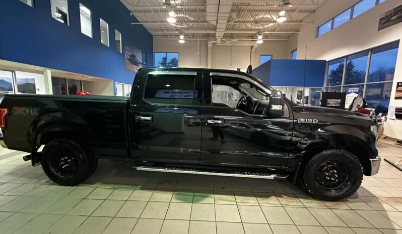 
								2015 Ford F-150 4×4 – Supercrew Xlt full									