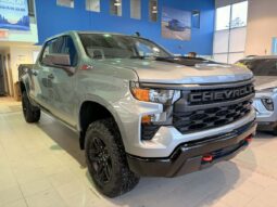
										2026 Chevrolet Silverado 1500 Crew Cab Standard full									