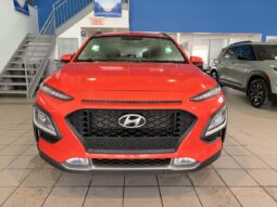 
										2020 Hyundai Kona 2.0l Awd Preferred full									