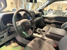 
										2025 Ford F-150 Lightning Xlt 4wd Supercrew full									