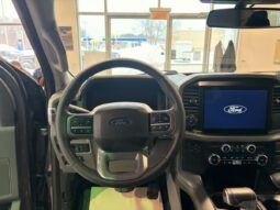 
										2025 Ford F-150 Lightning Xlt 4wd Supercrew full									