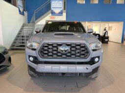 
										2020 Toyota Tacoma 4×4 Double Cab full									
