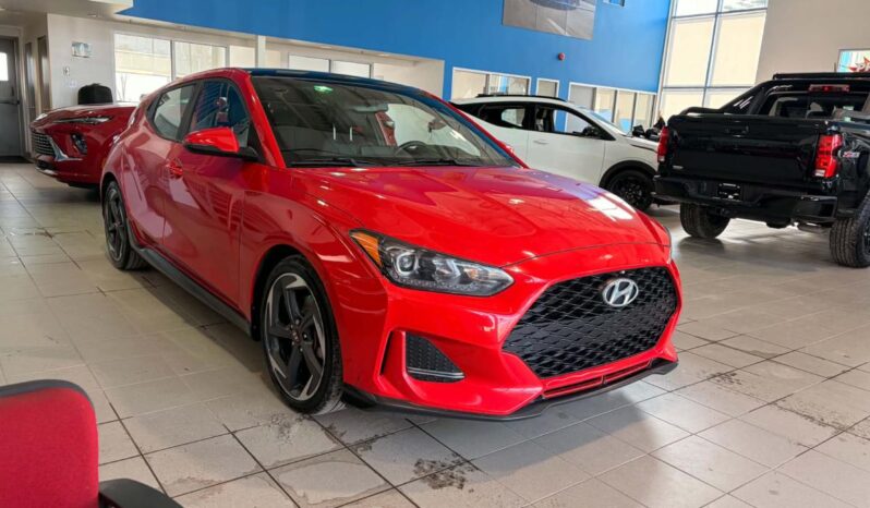 
								2020 Hyundai Veloster Turbo M6 full									