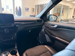 
										2023 Ford Escape St-Line Awd full									