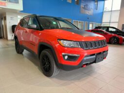 
										2019 Jeep Compass 4×4 Trailhawk full									