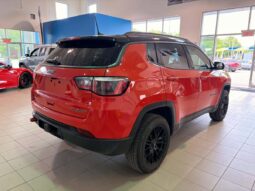 
										2019 Jeep Compass 4×4 Trailhawk full									