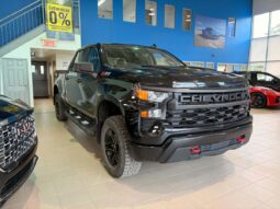 
										2024 Chevrolet Silverado 1500 Crew Cab Standard full									