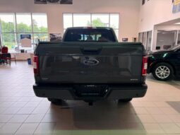 
										2018 Ford F-150 4×4 – Supercrew Xlt full									