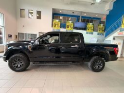 
										2023 Ford F-150 4×4 Supercrew Tremor full									