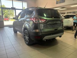
										2014 Ford Escape Se – 4wd full									