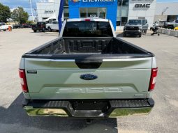 
										2019 Ford F-150 Xlt Awd full									