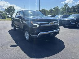 
										2025 Chevrolet Silverado 1500 Crew Cab Standard full									