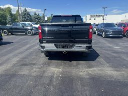 
										2025 Chevrolet Silverado 1500 Crew Cab Standard full									