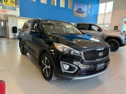 
										2017 Kia Sorento EX V6 full									