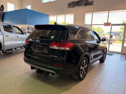 
										2017 Kia Sorento EX V6 full									