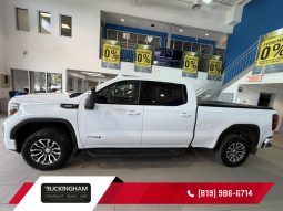 
										2020 GMC Sierra 1500 Crew Cab 4×4 At4 Standard Box full									