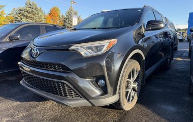 2016 Toyota RAV4 Awd Se