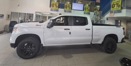 
										2026 Chevrolet Silverado 1500 Crew Cab Standard full									