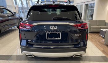 
										2022 Infiniti QX50 SENSORY full									
