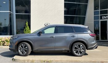 
										2023 Infiniti QX60 LUXE full									