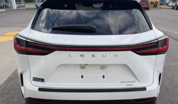 
										2022 Lexus NX AWD full									