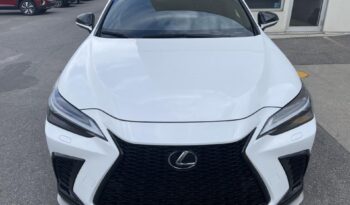 
										2022 Lexus NX AWD full									