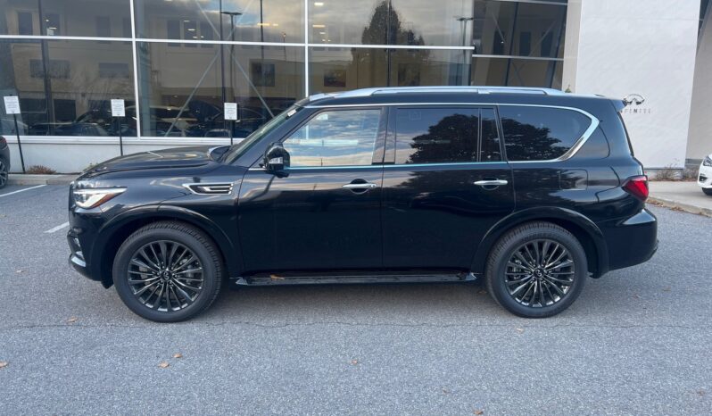 
								2024 Infiniti QX80 PROACTIVE full									