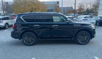 
										2024 Infiniti QX80 PROACTIVE full									