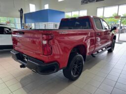 
										2019 Chevrolet Silverado 1500 Silverado Custom Trail Boss full									