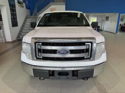 
										2013 Ford F-150 full									