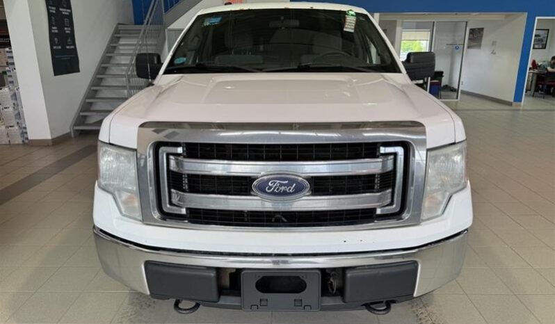 
								2013 Ford F-150 full									