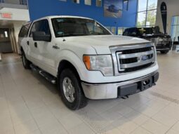 
										2013 Ford F-150 full									