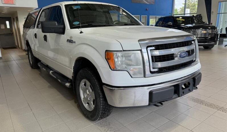 
								2013 Ford F-150 full									