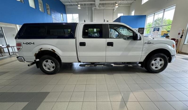 
								2013 Ford F-150 full									