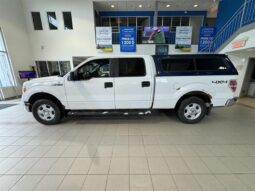 
										2013 Ford F-150 full									