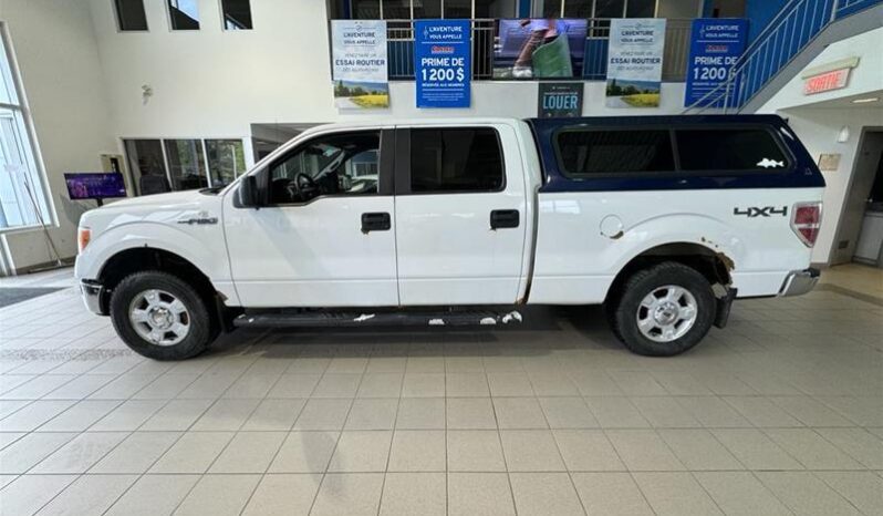 
								2013 Ford F-150 full									