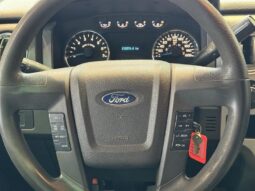 
										2013 Ford F-150 full									