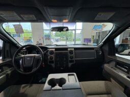 
										2013 Ford F-150 full									