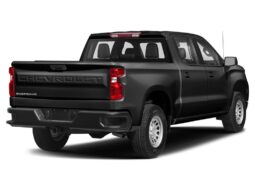 
										2024 Chevrolet Silverado 1500 Custom Trail Boss full									