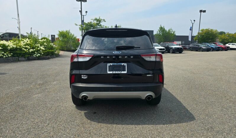 
								2020 Ford Escape SEL full									