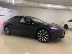 2024 Tesla Unlisted Item