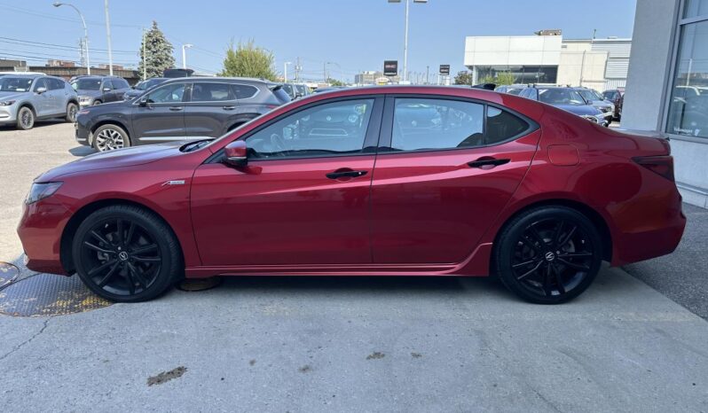 
								2020 Acura TLX SH-AWD Tech A-Spec Sedan full									