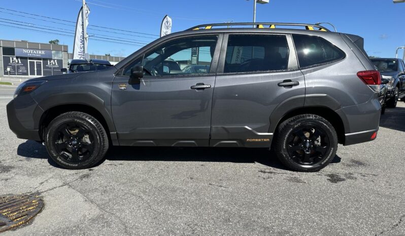 
								2023 Subaru Forester Wilderness CVT full									